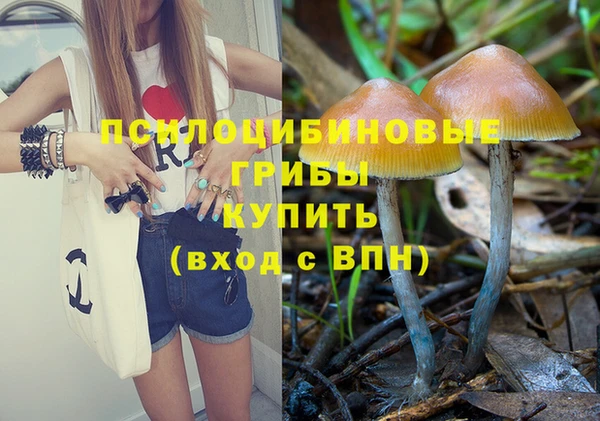 кокаин Алексеевка
