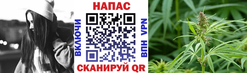 Бошки Шишки конопля OMG ссылка darknet как зайти Андреаполь